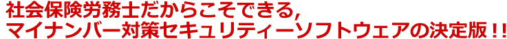 社会保険労務士だからこそできる、マイナンバー対策セキュリティーソフトウェアの決定版！！